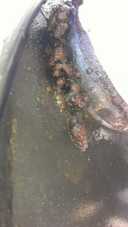 MR2 SW20 Fujitsubo Legalis R Exhaust thumbnail 3